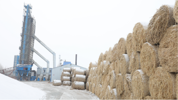 煤炭價(jià)格高，烘糧利潤低，吉林大安市500噸糧食烘干塔改用秸稈大包直燃鍋爐，每天省3萬